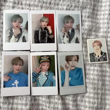 팬더 드래곤 파라곤 타이 가 히파카