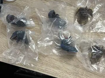 '고질라' 제일복권 대괴수 열전 G 몬스터 헤드 마그넷