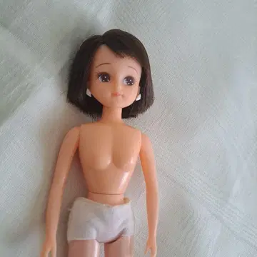 리카짱 인형 본체 브라운 숏 밥