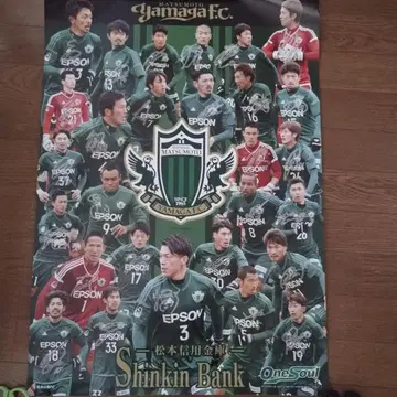 마츠모토 야마가 FC 2015년 포스터