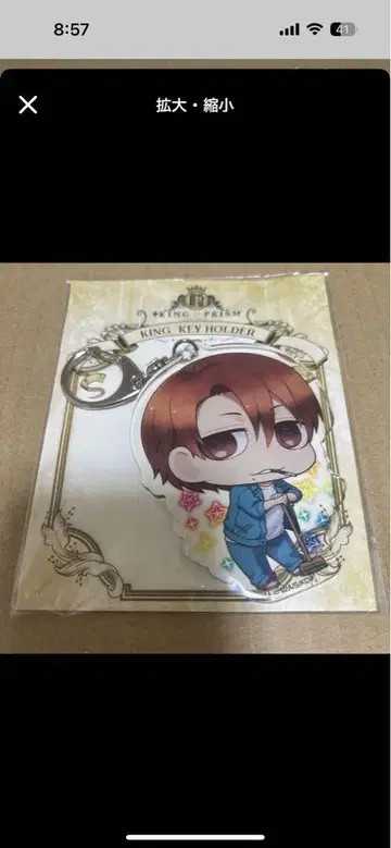 KING OF PRISM 야마다 료