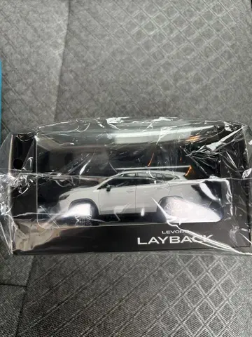 LEVORG LAYBACK 화이트 미니카