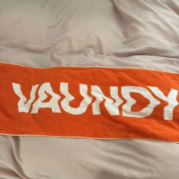 Vaundy 타월