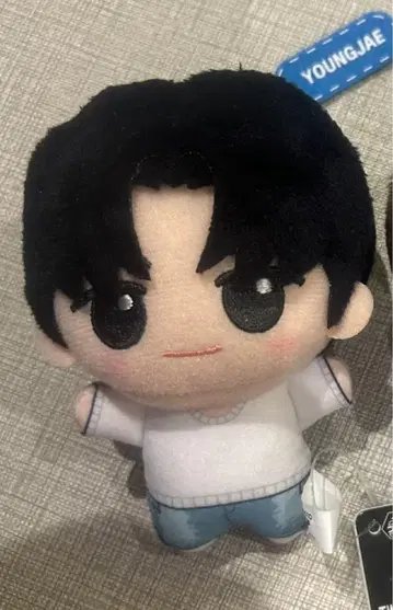 TWS 용제 SD 인형 봉제 인형 마스코트