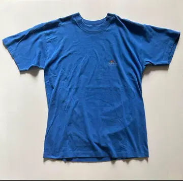 FRUIT OF THE LOOM 빈티지풍 로고 티셔츠 파랑 M 유니섹스