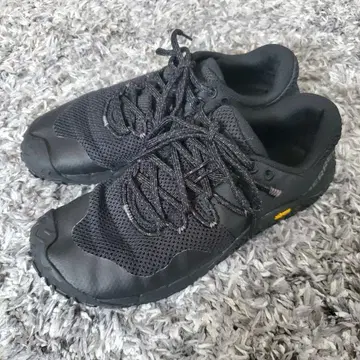 머렐 트레일 그로브 7 24.5cm
