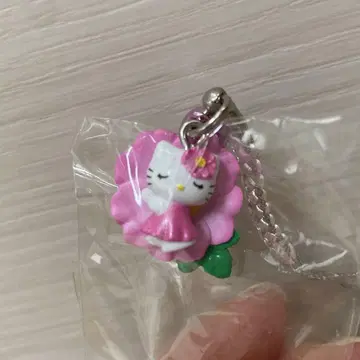 지역 키티 하코네 장미
