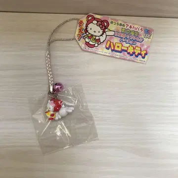 지역 키티 도쿄 아키하바라 모에루루부 키티