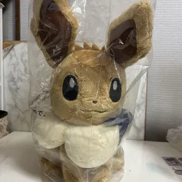 제일복권 Pokemon 이브이 & Starlight night A상