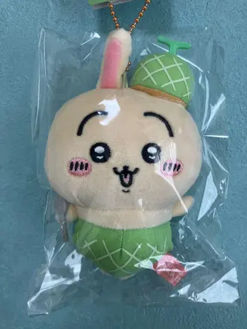 홋카이도 한정 치이카와 (먼작귀) 토끼 '멜론'