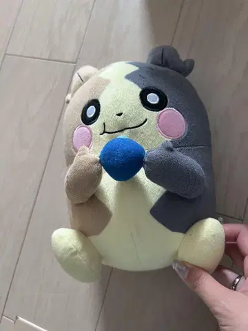 포켓몬 봉제 인형 하프 컬러