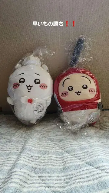 치이카와 봉제 인형 2개 세트