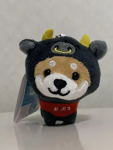 여행하는 마메시바 요네자와 소 야마가타 한정판