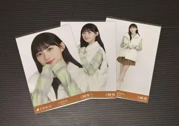 노기자카46 카와사키 사쿠라 대감사제 2024 다운 베스트