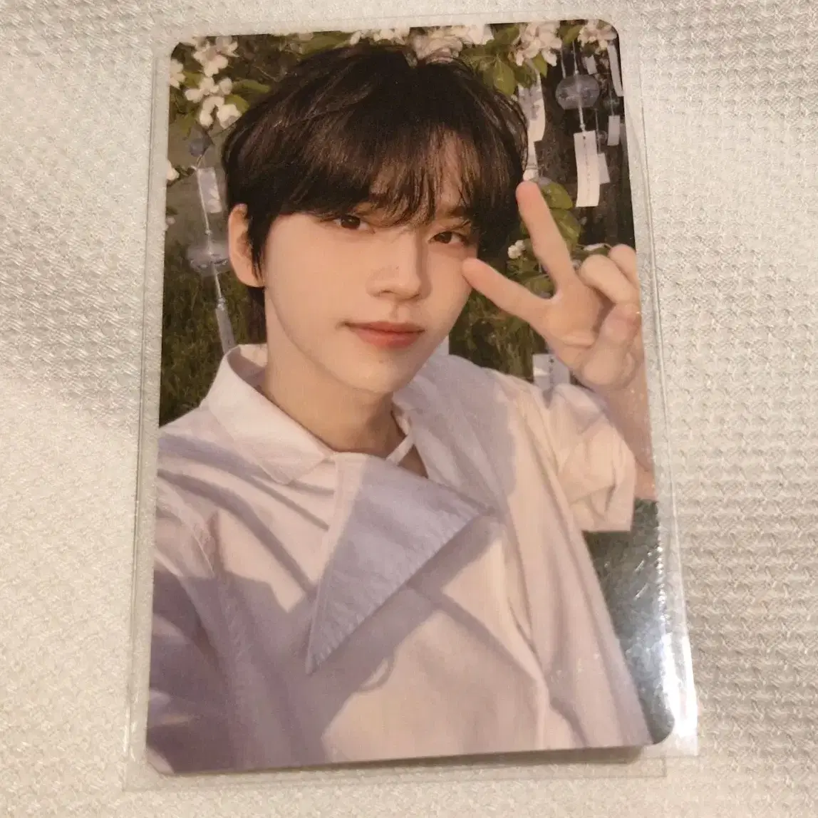 TWS | 투어스 Tws TWS Shin Yu Sai Zone 42 Zone photocard WTS