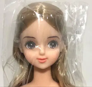 리카짱 캐슬 제니 프렌드 오타즈미 인형 미라이