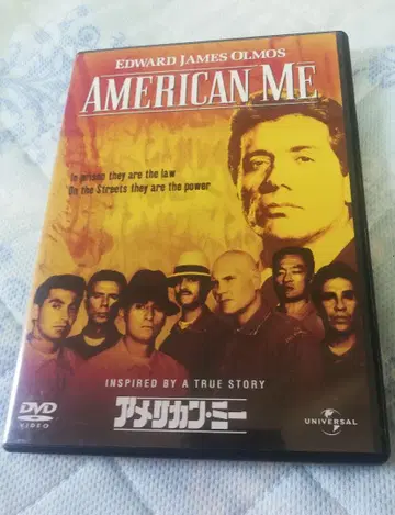 아메리칸 미 DVD