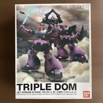 반다이 HG 트리플 돔 1개 결품