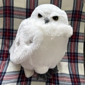 흰 올빼미 봉제 인형