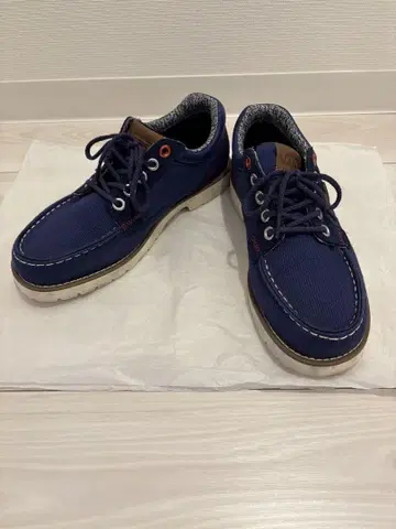 캐주얼 슈즈 (반스)