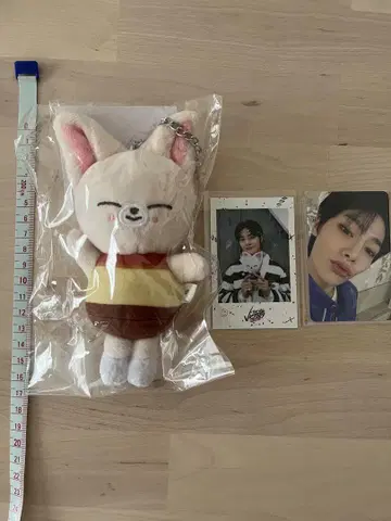 SKZOO Foxl.Ny 아이엔 백 참 트레이딩 카드