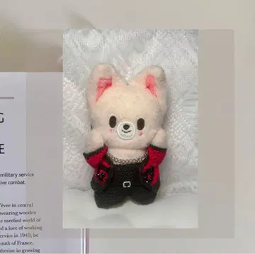 SKZOO 스키즈 아이엔 포쿠시니 10cm 봉제 인형