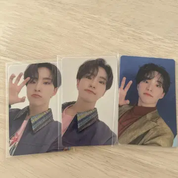 SEVENTEEN 세부치 호시 혼자가 아니야 C판 D판 B판