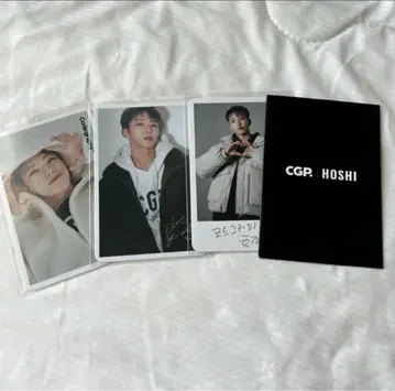 SEVENTEEN 세부치 호시 코드 그래피 codegraphy