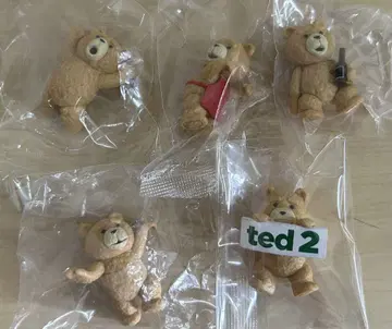 ted2 테드2 PUTITTO 쁘띠토 전 5종 컴프