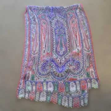 ETRO 페이즐리 무늬 실크 숏 스톨