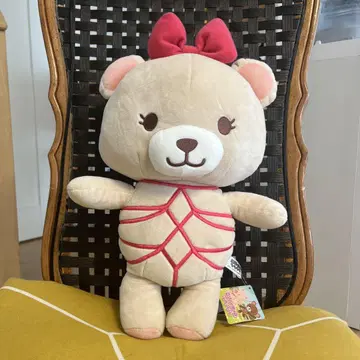 론하룸 기코 동물 곰