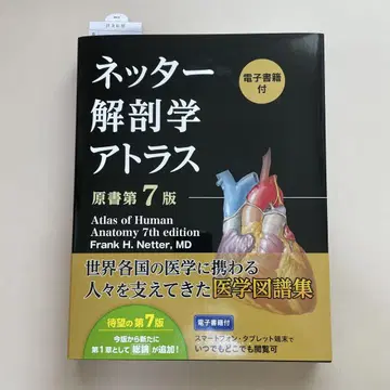[전자책 사용 불가] 네터 해부학 아틀라스 (원서 제7판)
