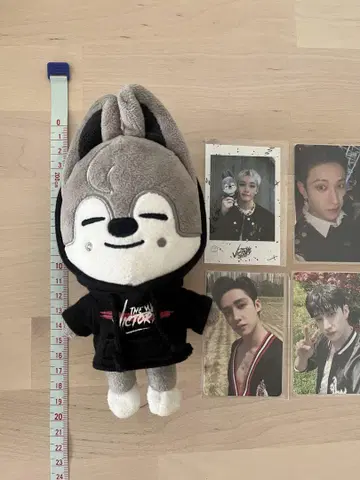 skzoo 봉제 인형 미니 울프 찬 반찬 트레이딩 카드