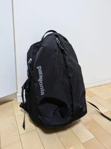 파타고니아 백팩