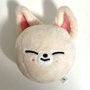 Stray Kids 아이엔 포키니 백 참 키링
