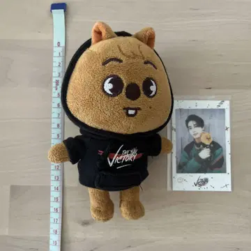 skzoo 봉제 인형 미니 한쿼카 HAN