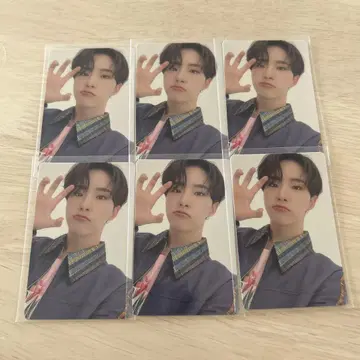 SEVENTEEN 세부치 호시 D판 혼자가 아니야 6장