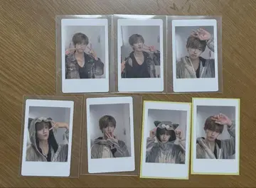 토비 홈즈 토비 홈즈 나츠 D몬 DMONSTER 하피카