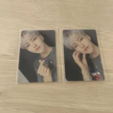 SEVENTEEN 세부치 호시 춤추는 꽃잎 춤추는 꽃