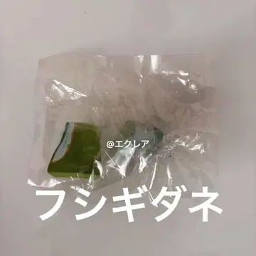 포켓몬 포켓몬스터 피규어 푸시키다네 당시 물건 헤이세이 레트로