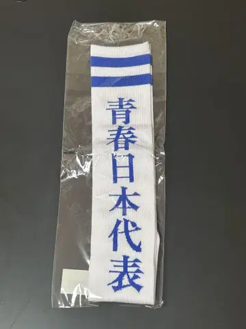 새로운 학교의 리더들 양말 M 파랑 일본 대표