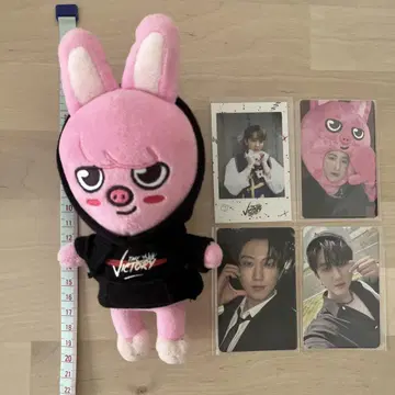 skzoo 봉제 인형 미니 찬빈 DWAEKKI 돼끼 트레이딩 카드