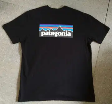 PATAGONIA 티셔츠 XL 블랙 39174FA18 파타고니아