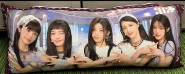 아이릿 67cm 쿠션