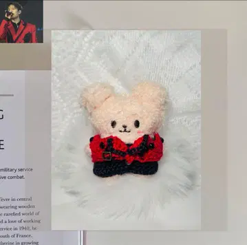 StrayKids 펜미 skzoo PLUSH 스키즈 승민 퍼핌