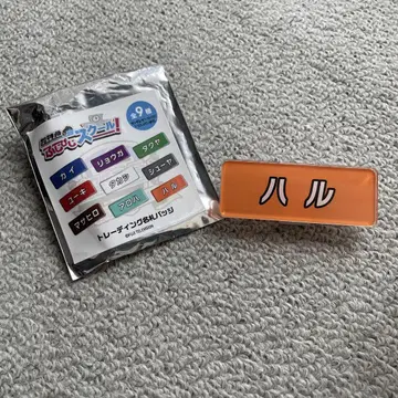 초특급 후지비지 명찰 배치 하루