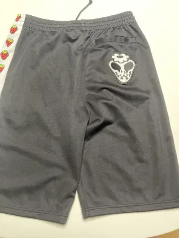 아레나 스트로베리 패턴 XL