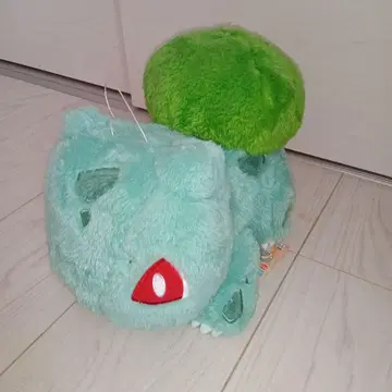 푸시파네 봉제 인형