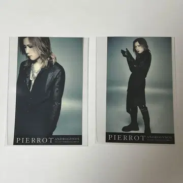 PIERROT androgynos 로토 스티커 2017 키리토