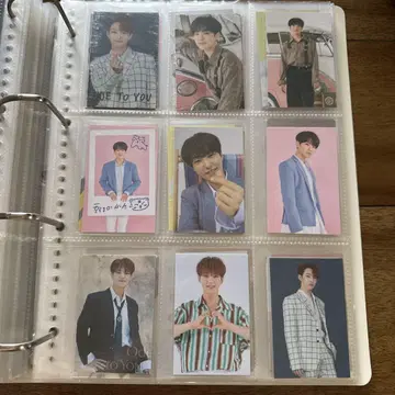 세븐틴 호시 트레이딩 카드